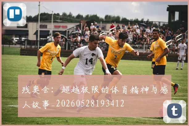 残奥会：超越极限的体育精神与感人故事_20260528193412